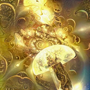 Hallucinogenic Mushroom